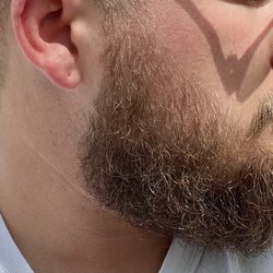 Arturo’s Barbershop - Beard trim by Zack.