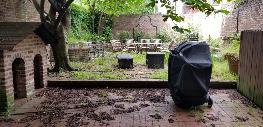 Lahwah Landscaping - tree service in Jersey City, NJ