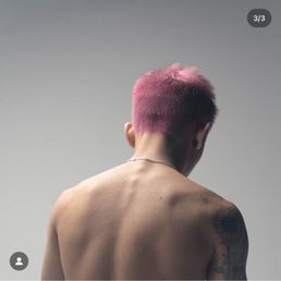 Lavender Lavender