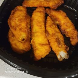 Fish Fish