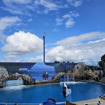 Orca Encounter - Amusement Parks Near Me - San Diego, California