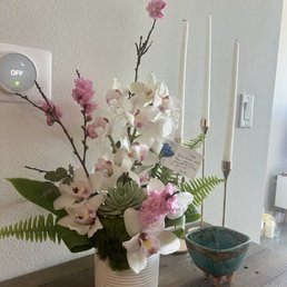 Orchid/succulent arrangement Orchid/succulent arrangement