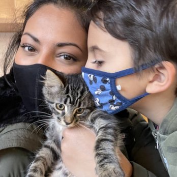 NEKO: A Cat Cafe - All the snuggles - Themed Cafes Near Me - Seattle, Washington NEKO: A Cat Cafe - All the snuggles - Themed Cafes Near Me - Seattle, Washington