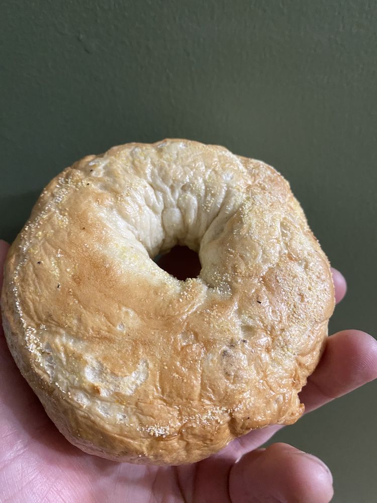 THE BAKED BAGEL CAFE 21 Photos & 24 Reviews 133 Main St, North