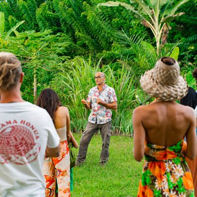 Common Ground Kauai by null