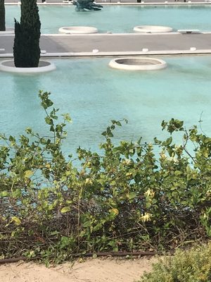 Queen Sofia Palace of Arts by null