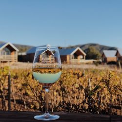 Baja Tour Guide - A glass of white wine at Don Tomas Winery