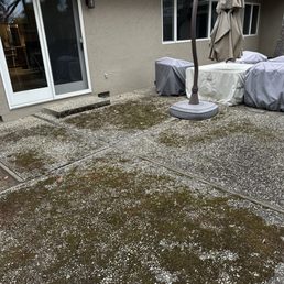 Backyard before