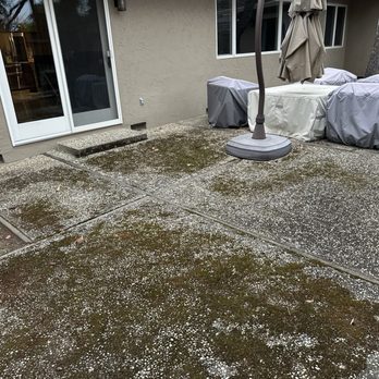 Supreme Power Wash - Backyard before - Pressure Washers Near Me - San Jose, California