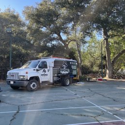 4 trees removed 4 trees removed