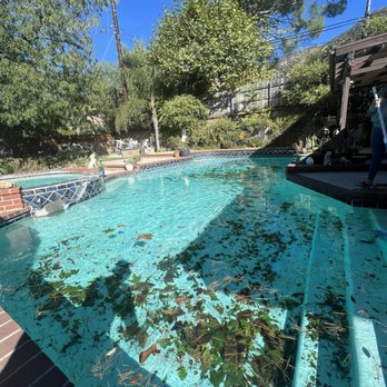 Elite Pool Professional - High winds emergency service cleanup for our clients had a party the next day see more photos for the before and after Heater Repaired - Pool & Hot Tub Service Near Me