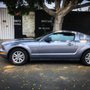 Photo of Mustang Heaven