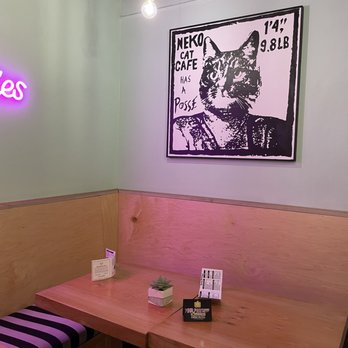 NEKO: A Cat Cafe - interior - Themed Cafes Near Me - Seattle, Washington