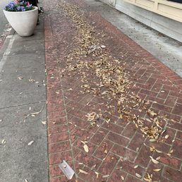 Dirty sidewalks. Dirty sidewalks.