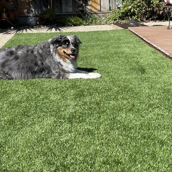 Heavenly Greens - Artificial Turf Near Me - San Jose, California