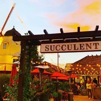 SUCCULENT CAFE - CLOSED - Updated June 2026 - 2300 Photos & 1789 Reviews -  1557 Mission Dr, Solvang, California - New American - Restaurant Reviews -  Phone Number - Menu - Yelp