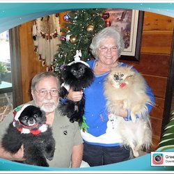 Magalia Pet Hospital