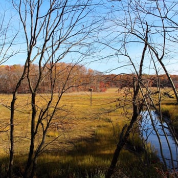 Cheesequake State Park - Photo credit husband Chris P. - Parks Near Me - Matawan, New Jersey