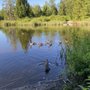 Photo of Guildford Heights Park