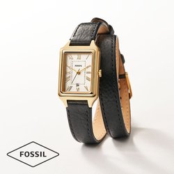 Fossil Outlet