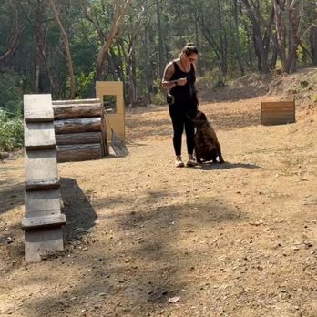 Perfect Pack Dog Training - Pet Training Near Me Perfect Pack Dog Training - Pet Training Near Me