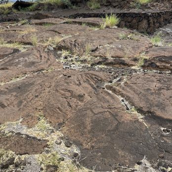 Puako Petroglyph Archeological Park - Hike - Parks Near Me - Waimea, Hawaii