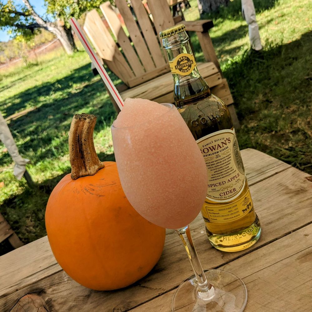 Glass of frozé with a bottle of spiced apple cider Glass of frozé with a bottle of spiced apple cider