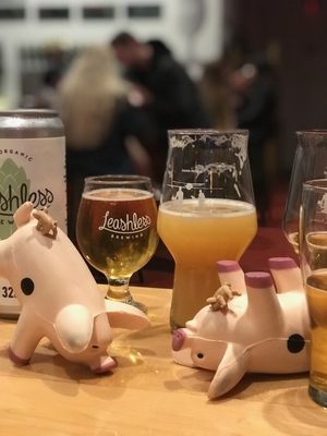 Leashless Brewing by null