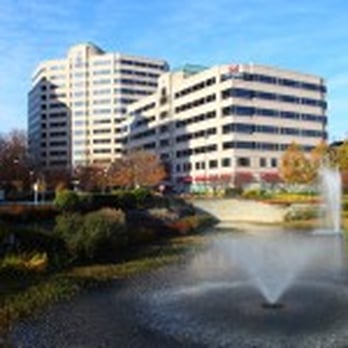 SagaTax - Payroll Services Near Me