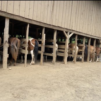 Davy Crockett Riding Stables - Horse stable - Horseback Riding Near Me - Townsend, Tennessee Davy Crockett Riding Stables - Horse stable - Horseback Riding Near Me - Townsend, Tennessee