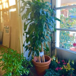 Sledd Nursery