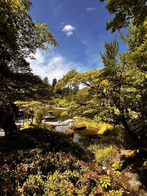 Seattle Japanese Garden by null