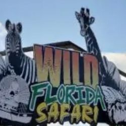 Chek A Cab In Lake Buena Vista - Wild Florida