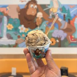 Bonta Gelato - Brownies & Coffee