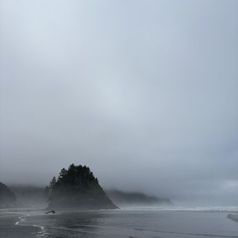 Proposal Rock Beach - Beaches Near Me - Neskowin, Oregon