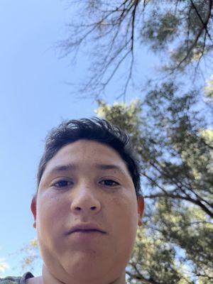 Misión San Francisco Javier de Viggé-Biaundó by null