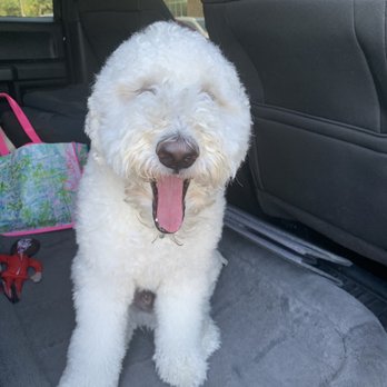 West Delray Veterinary - Veterinarians Near Me - Delray Beach, Florida West Delray Veterinary - Veterinarians Near Me - Delray Beach, Florida