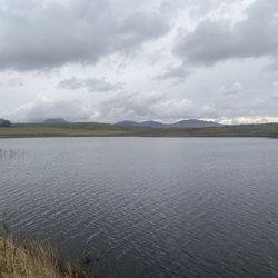 Finlaggan Trust