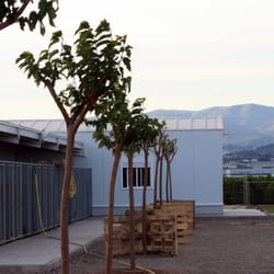 Residencia Canina Pichera