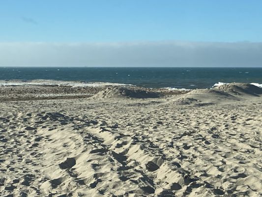 BENONA TOWNSHIP PARK Updated March 2025 12 Photos 7169 W Baker Rd