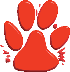 Neo-Paws International Image