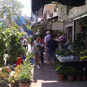 花墟 - Local Flavor Near Me - Hong Kong, HK 花墟 - Local Flavor Near Me - Hong Kong, HK