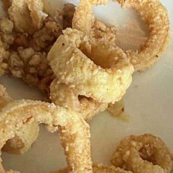 Scales - Calamari - Seafood Near Me - Portland, Maine Scales - Calamari - Seafood Near Me - Portland, Maine