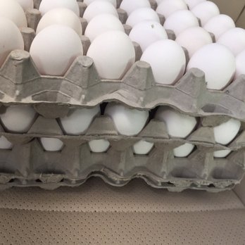 OK Poultry - Buying local! - Ranches Near Me - Waimanalo, Hawaii OK Poultry - Buying local! - Ranches Near Me - Waimanalo, Hawaii