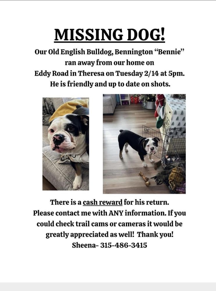 BRIDGE PORT VETERINARY CLINIC Updated September 2024 5962 State