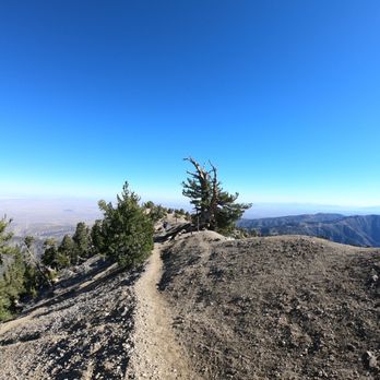 Mount Baden-Powell Trail - Hiking Near Me