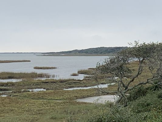 Aransas National Wildlife Refuge by null