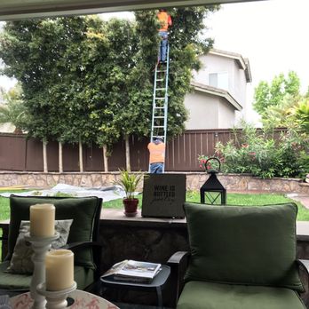 Higuera Tree Care - Working in the back - Tree Services Near Me - Chula Vista, California Higuera Tree Care - Working in the back - Tree Services Near Me - Chula Vista, California