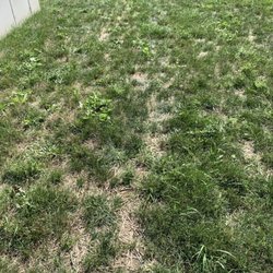 Green Acre Landscaping - No grass