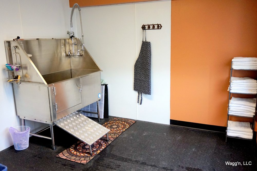 WAGG’N INDOOR DOG PARK CLOSED Updated April 2024 40 Photos 7602